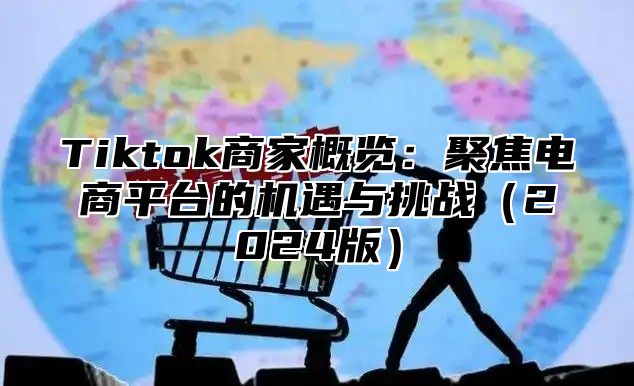 Tiktok商家概览：聚焦电商平台的机遇与挑战（2024版）