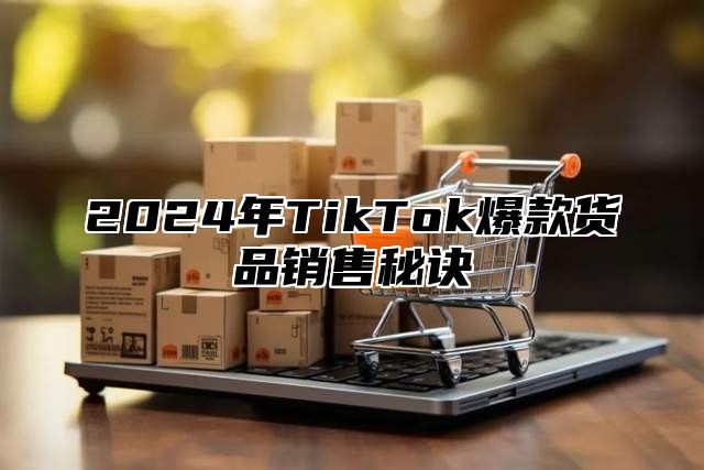 2024年TikTok爆款货品销售秘诀