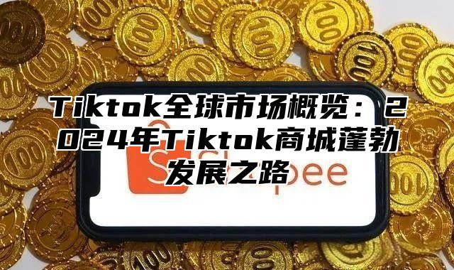 Tiktok全球市场概览：2024年Tiktok商城蓬勃发展之路