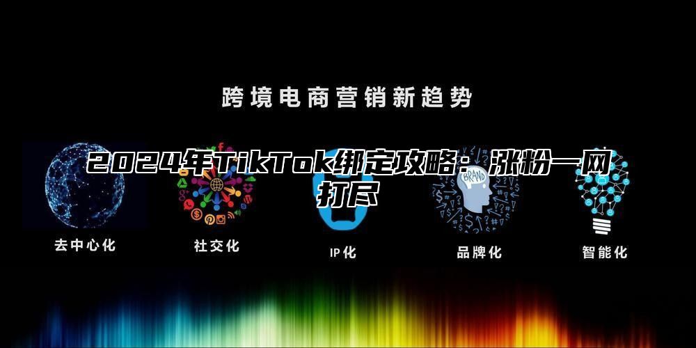 2024年TikTok绑定攻略：涨粉一网打尽