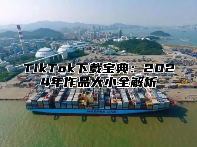 TikTok下载宝典：2024年作品大小全解析