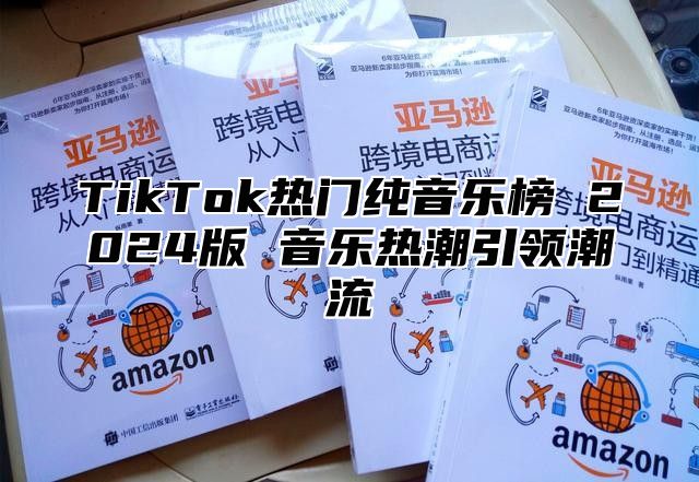 TikTok热门纯音乐榜 2024版 音乐热潮引领潮流