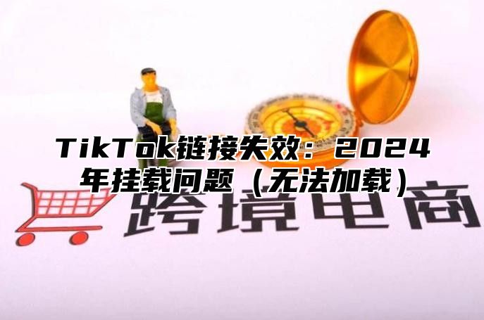 TikTok链接失效：2024年挂载问题（无法加载）