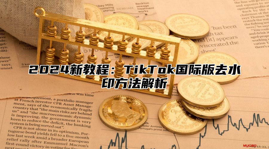 2024新教程：TikTok国际版去水印方法解析