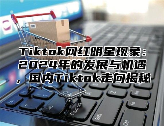 Tiktok网红明星现象：2024年的发展与机遇，国内Tiktok走向揭秘