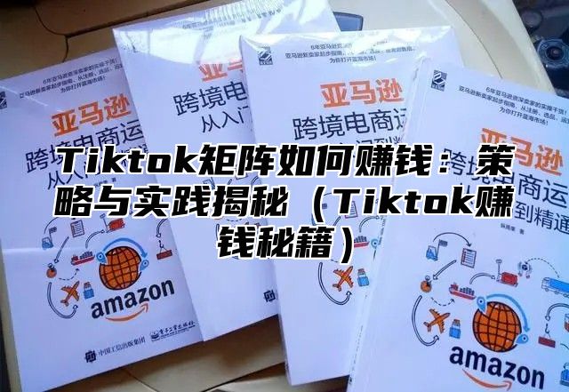 Tiktok矩阵如何赚钱：策略与实践揭秘（Tiktok赚钱秘籍）