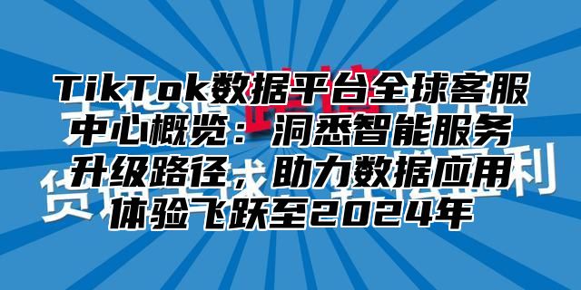 TikTok数据平台全球客服中心概览：洞悉智能服务升级路径，助力数据应用体验飞跃至2024年