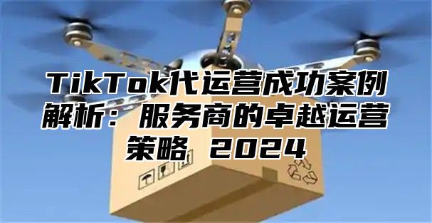 TikTok代运营成功案例解析：服务商的卓越运营策略 2024