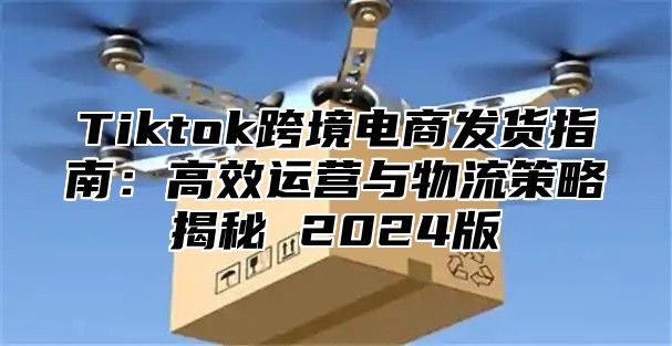 Tiktok跨境电商发货指南：高效运营与物流策略揭秘 2024版