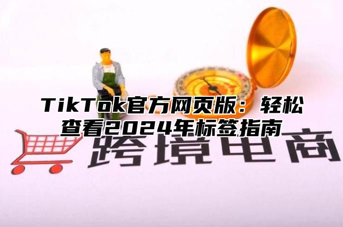 TikTok官方网页版：轻松查看2024年标签指南