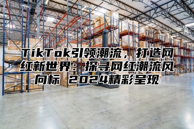 TikTok引领潮流，打造网红新世界：探寻网红潮流风向标 2024精彩呈现