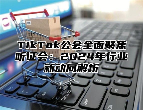 TikTok公会全面聚焦听证会：2024年行业新动向解析