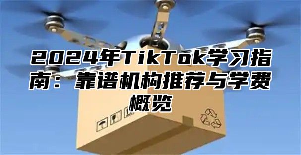 2024年TikTok学习指南：靠谱机构推荐与学费概览