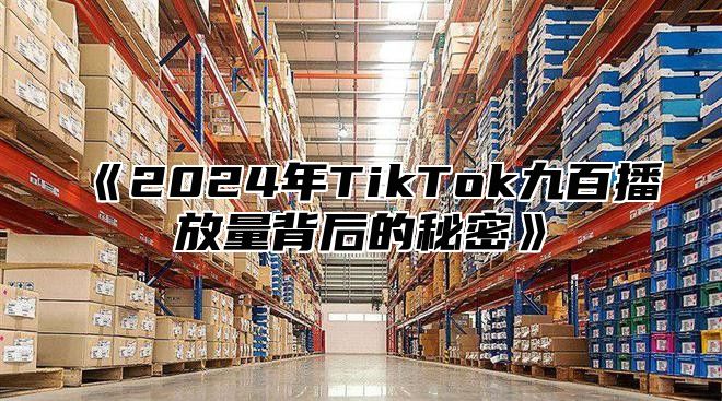 《2024年TikTok九百播放量背后的秘密》