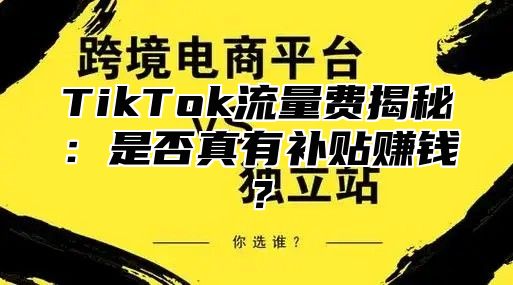 TikTok流量费揭秘：是否真有补贴赚钱？