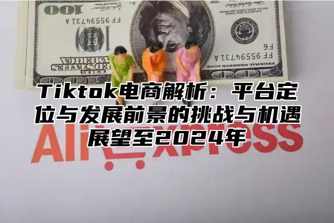 Tiktok电商解析：平台定位与发展前景的挑战与机遇展望至2024年