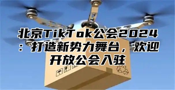 北京TikTok公会2024：打造新势力舞台，欢迎开放公会入驻