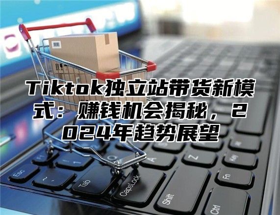 Tiktok独立站带货新模式：赚钱机会揭秘，2024年趋势展望