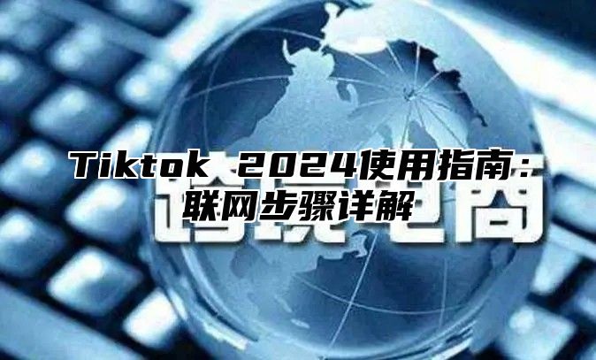 Tiktok 2024使用指南：联网步骤详解