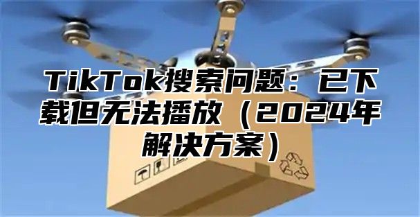 TikTok搜索问题：已下载但无法播放（2024年解决方案）