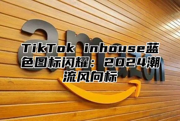 TikTok inhouse蓝色图标闪耀：2024潮流风向标