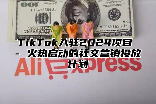 TikTok入驻2024项目 - 火热启动的社交营销投放计划