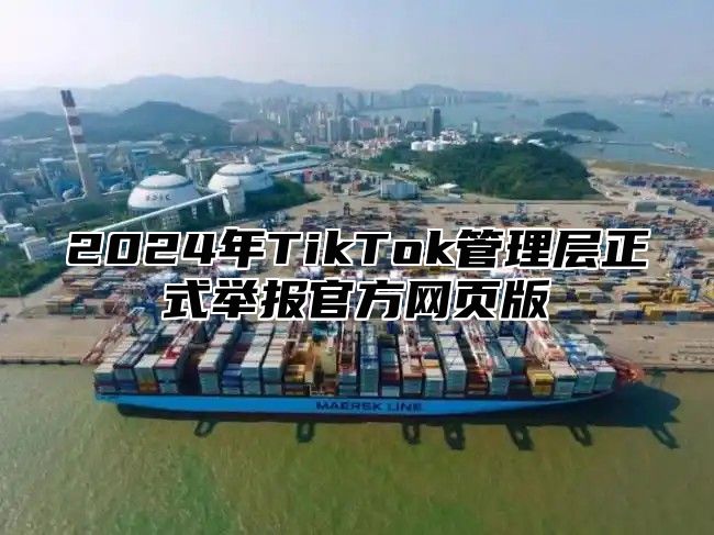 2024年TikTok管理层正式举报官方网页版