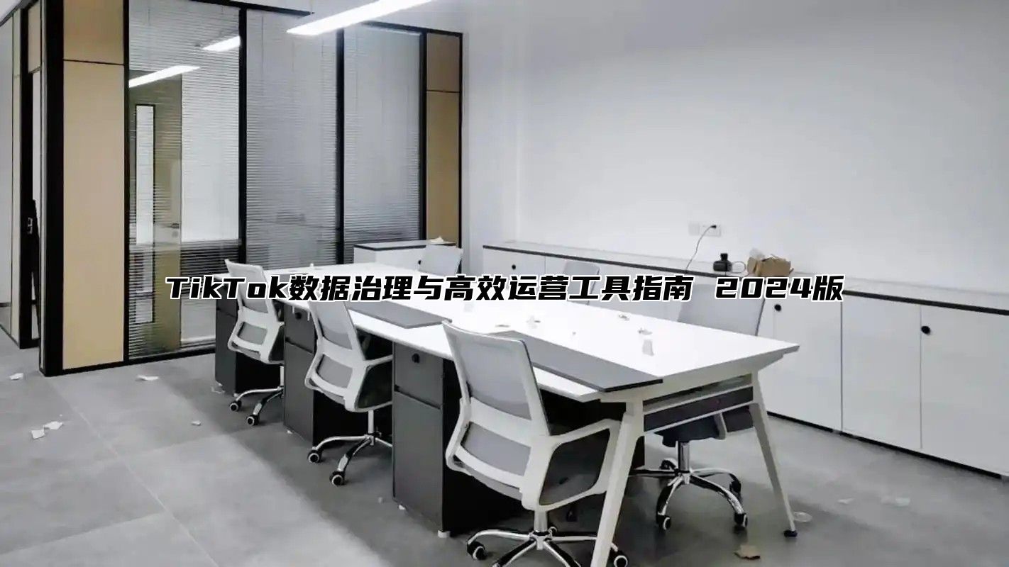 TikTok数据治理与高效运营工具指南 2024版