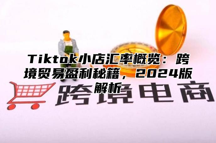 Tiktok小店汇率概览：跨境贸易盈利秘籍，2024版解析