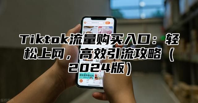 Tiktok流量购买入口：轻松上网，高效引流攻略（2024版）