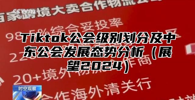 Tiktok公会级别划分及中东公会发展态势分析（展望2024）