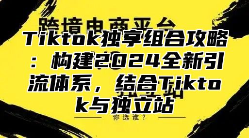 Tiktok独享组合攻略：构建2024全新引流体系，结合Tiktok与独立站