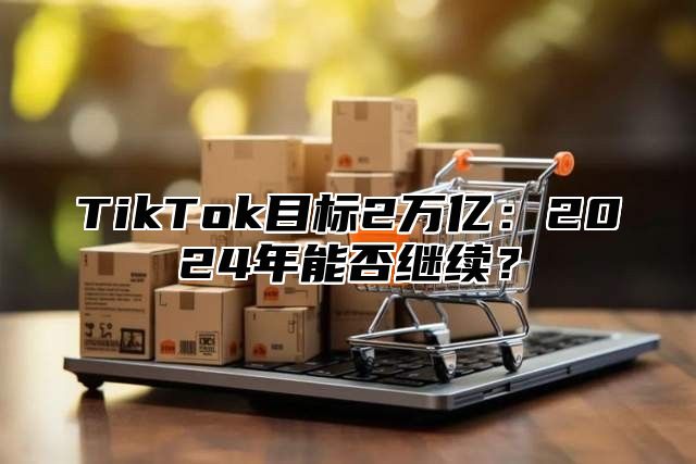 TikTok目标2万亿：2024年能否继续？