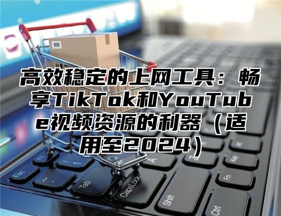 高效稳定的上网工具：畅享TikTok和YouTube视频资源的利器（适用至2024）