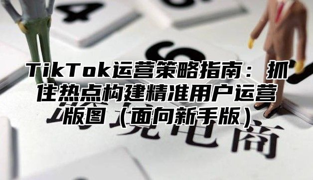 TikTok运营策略指南：抓住热点构建精准用户运营版图（面向新手版）