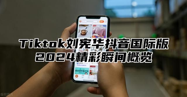 Tiktok刘宪华抖音国际版2024精彩瞬间概览