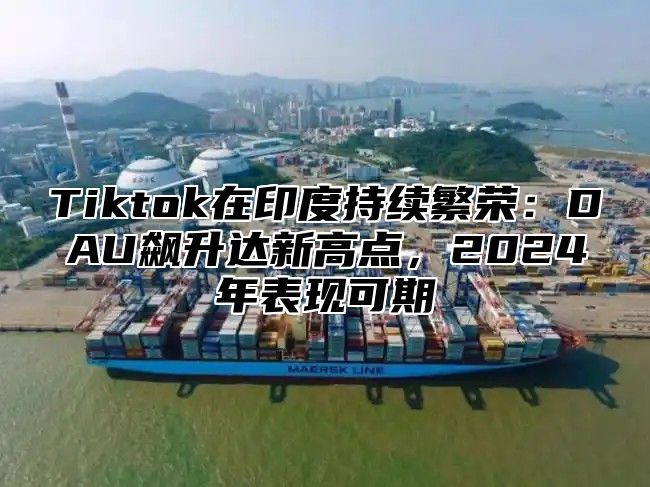 Tiktok在印度持续繁荣：DAU飙升达新高点，2024年表现可期