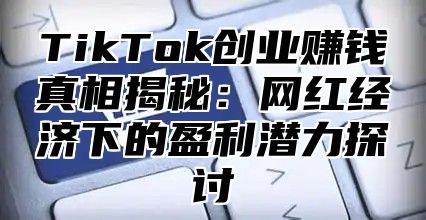 TikTok创业赚钱真相揭秘：网红经济下的盈利潜力探讨