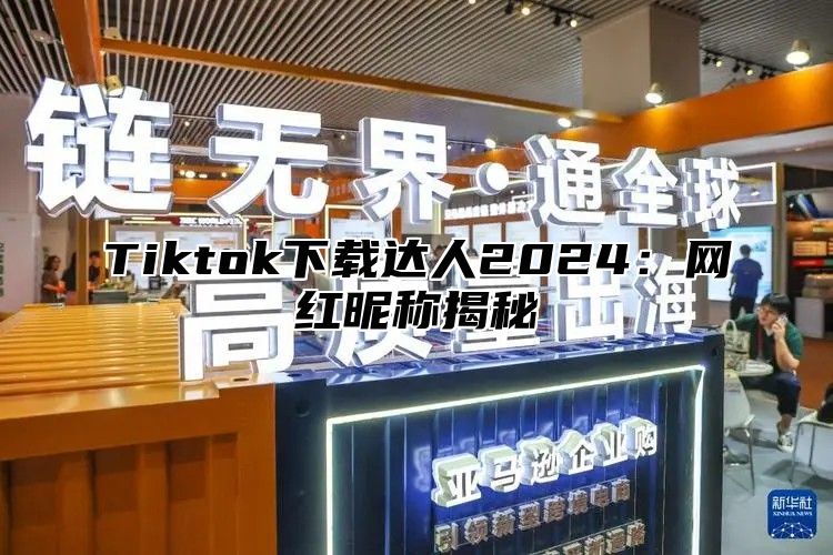 Tiktok下载达人2024：网红昵称揭秘