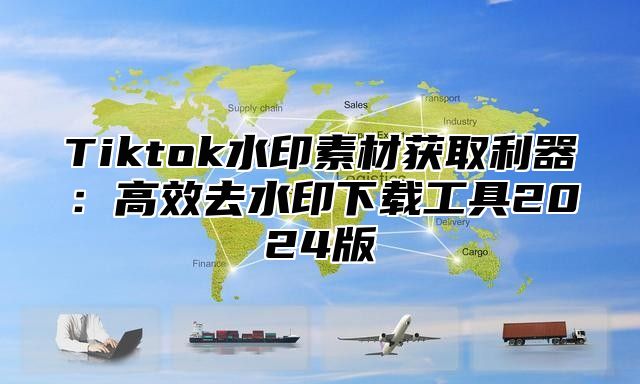 Tiktok水印素材获取利器：高效去水印下载工具2024版