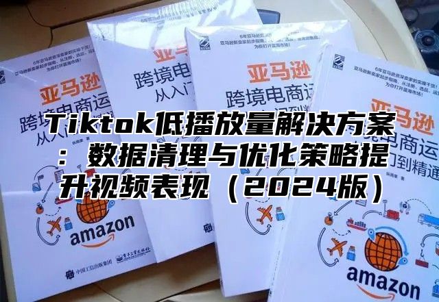 Tiktok低播放量解决方案：数据清理与优化策略提升视频表现（2024版）