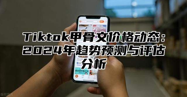 Tiktok甲骨文价格动态：2024年趋势预测与评估分析