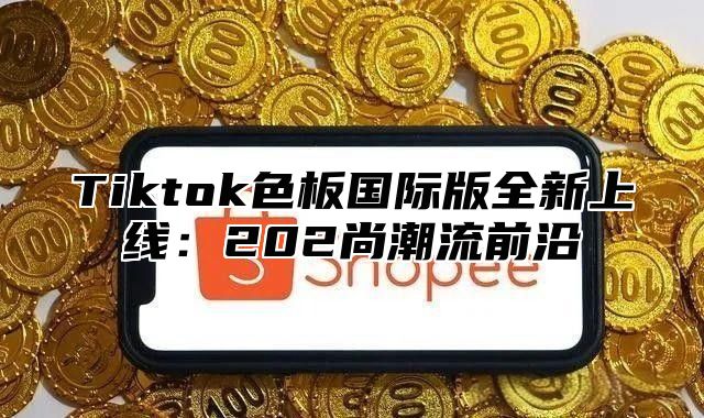 Tiktok色板国际版全新上线：202尚潮流前沿