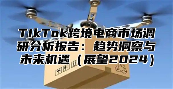 TikTok跨境电商市场调研分析报告：趋势洞察与未来机遇（展望2024）