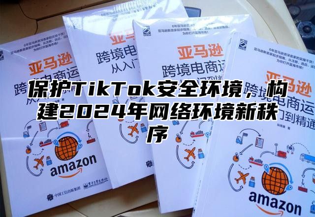 保护TikTok安全环境，构建2024年网络环境新秩序