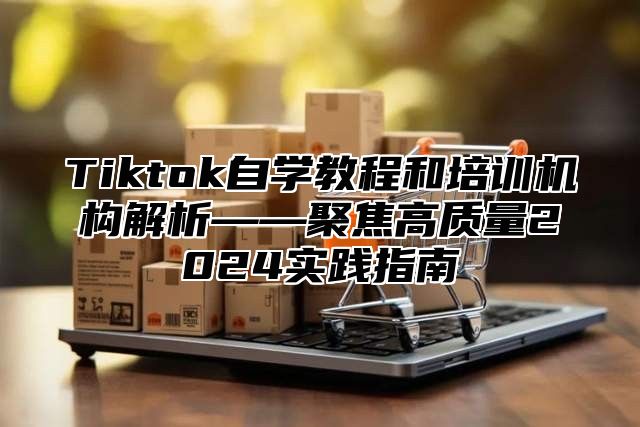 Tiktok自学教程和培训机构解析——聚焦高质量2024实践指南