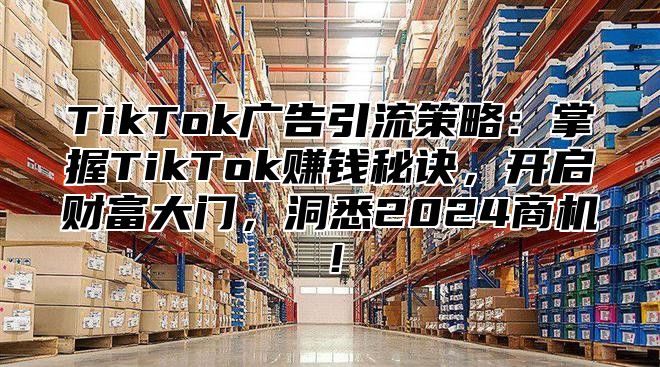 TikTok广告引流策略：掌握TikTok赚钱秘诀，开启财富大门，洞悉2024商机！