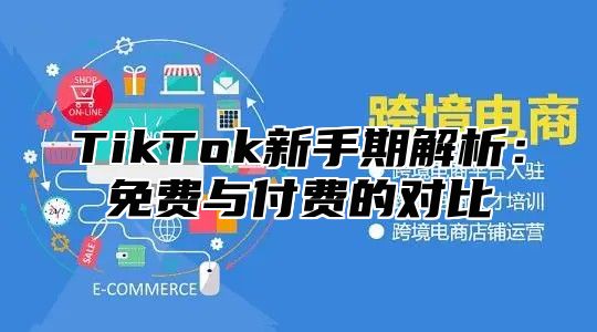 TikTok新手期解析：免费与付费的对比