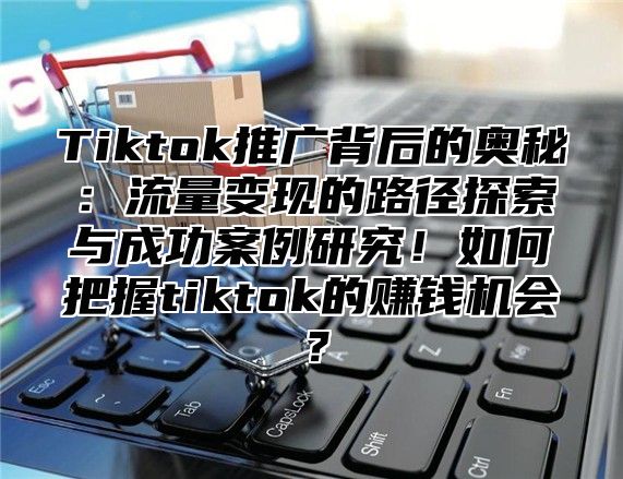 Tiktok推广背后的奥秘：流量变现的路径探索与成功案例研究！如何把握tiktok的赚钱机会？