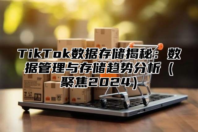 TikTok数据存储揭秘：数据管理与存储趋势分析（聚焦2024）